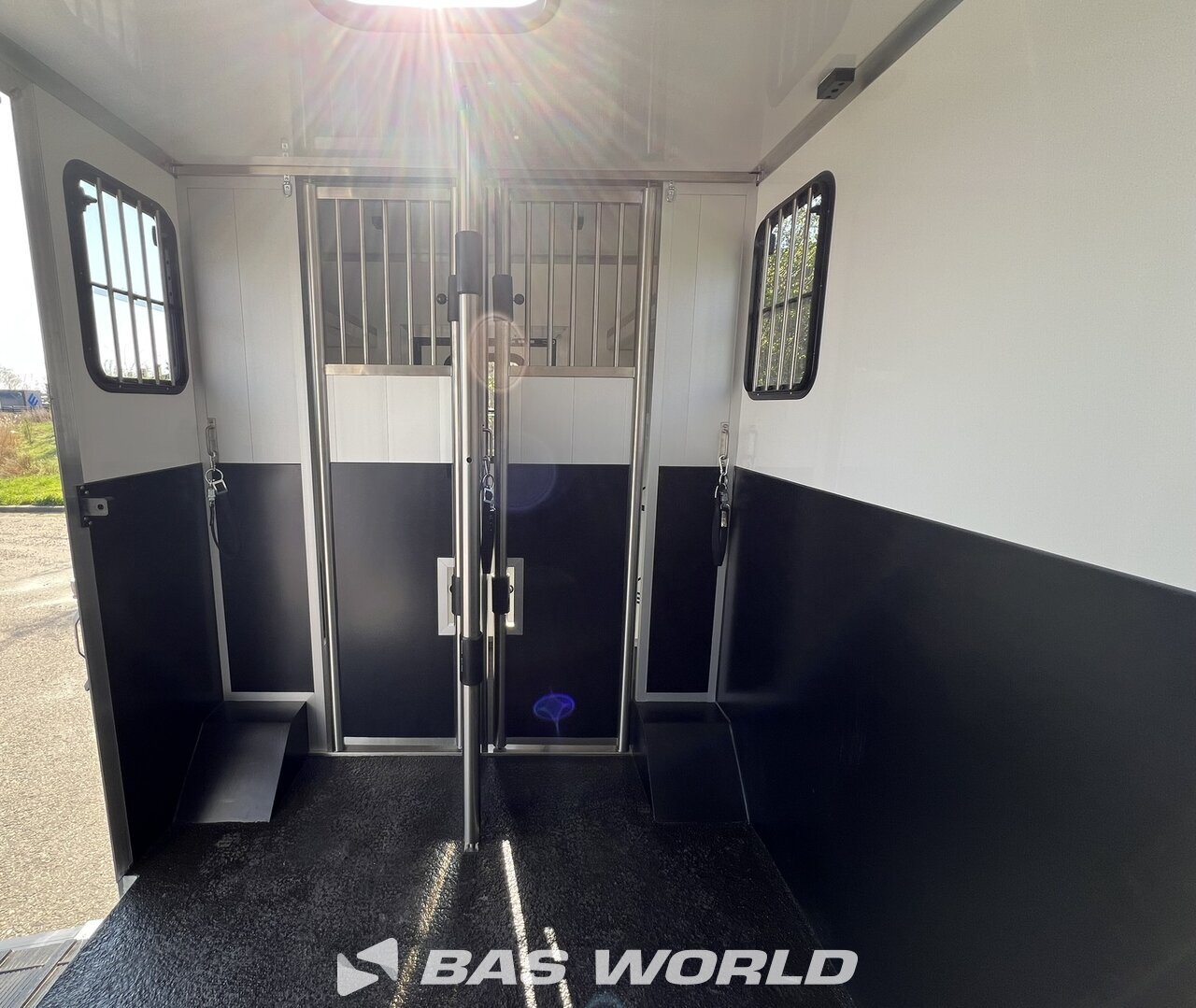 Other : Renault Master Camion chevaux