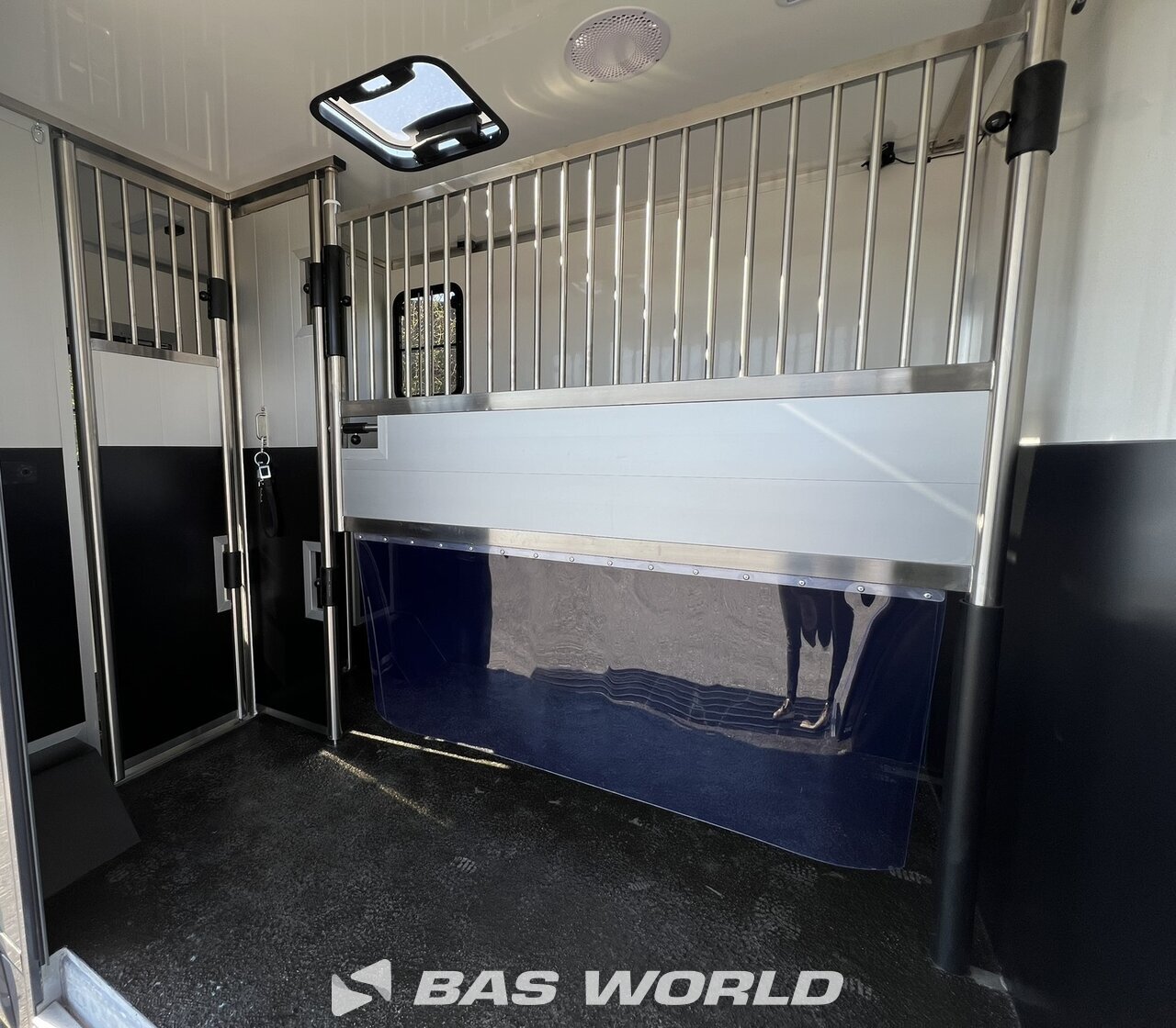 Other : Renault Master Camion chevaux