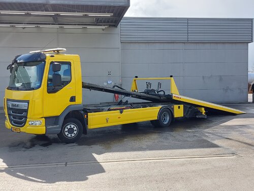 DAF LF 230 4X2 Jige поврежденному автомобилю